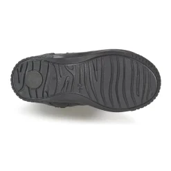 Citrouille et Compagnie - AMATIS Noir