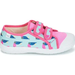 Citrouille et Compagnie - GLASSIA