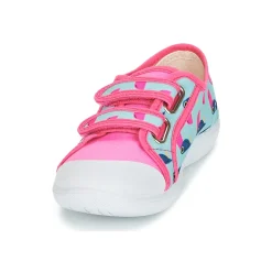 Citrouille et Compagnie - GLASSIA