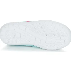 Citrouille et Compagnie - GLASSIA