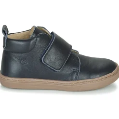 Citrouille et Compagnie - FOJAMO Marine