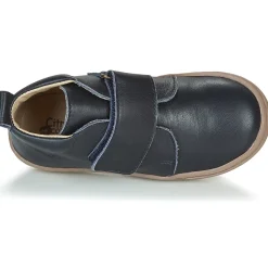 Citrouille et Compagnie - FOJAMO Marine