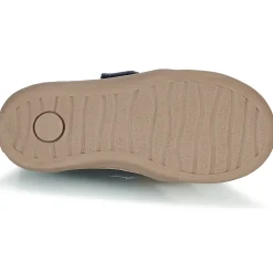 Citrouille et Compagnie - FOJAMO Marine