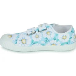 Citrouille et Compagnie - MINOT Fleursturquoise Online