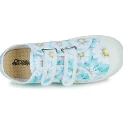 Citrouille et Compagnie - MINOT Fleursturquoise Online