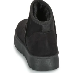 Citrouille et Compagnie - TANDEM