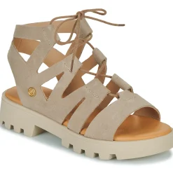 Citrouille et Compagnie - VELOCI