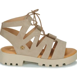 Citrouille et Compagnie - VELOCI