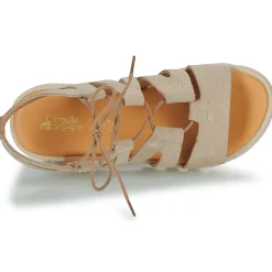 Citrouille et Compagnie - VELOCI