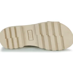 Citrouille et Compagnie - VELOCI