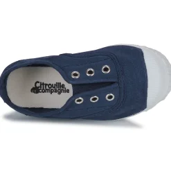 Citrouille et Compagnie - WOODEN Marine Best