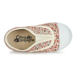 Online Citrouille et Compagnie - RIVIALELLE