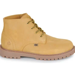 Citrouille et Compagnie - AGORA