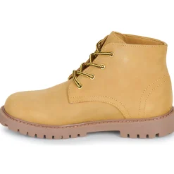 Citrouille et Compagnie - AGORA