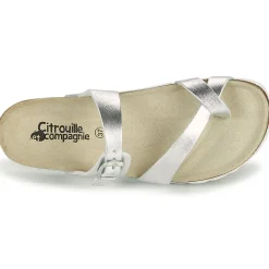 Sale Citrouille et Compagnie - OMILA Argent