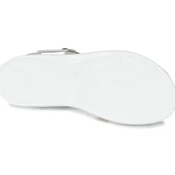 Citrouille et Compagnie - IZOEGL New