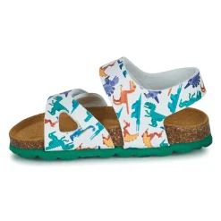 Citrouille et Compagnie - BELLI JOE