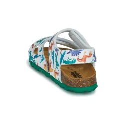 Citrouille et Compagnie - BELLI JOE