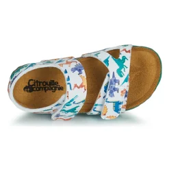 Citrouille et Compagnie - BELLI JOE