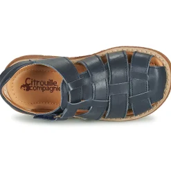 Citrouille et Compagnie - GLENO Marine Outlet