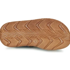 Citrouille et Compagnie - GLENO Marine Outlet