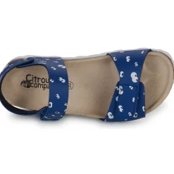 New Citrouille et Compagnie - PISTAMI Bleu