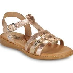 Citrouille et Compagnie - ROLUI