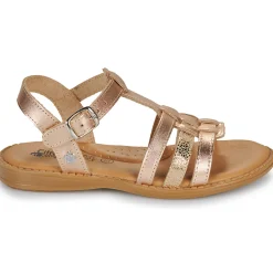 Citrouille et Compagnie - ROLUI