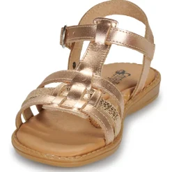 Citrouille et Compagnie - ROLUI