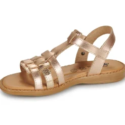 Citrouille et Compagnie - ROLUI