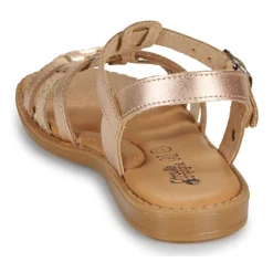 Citrouille et Compagnie - ROLUI