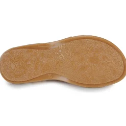 Citrouille et Compagnie - ROLUI