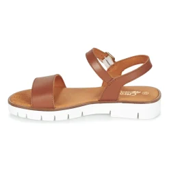 Hot Citrouille et Compagnie - GAPOTI Camel