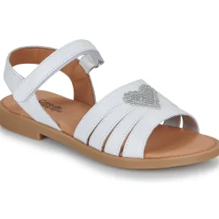 Citrouille et Compagnie - CŒUR White