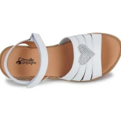 Citrouille et Compagnie - CŒUR White