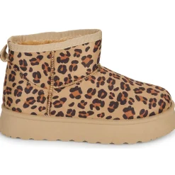 Citrouille et Compagnie - TANDEM