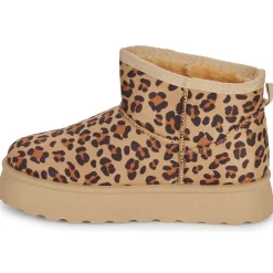 Citrouille et Compagnie - TANDEM