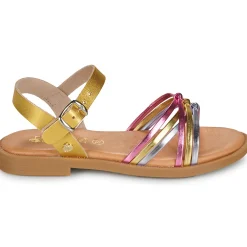 Citrouille et Compagnie - DAISY Gold Clearance