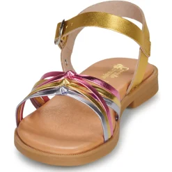 Citrouille et Compagnie - DAISY Gold Clearance