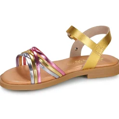 Citrouille et Compagnie - DAISY Gold Clearance