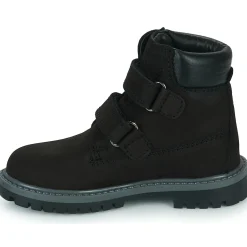 Citrouille et Compagnie - PAXA