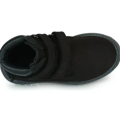 Citrouille et Compagnie - PAXA