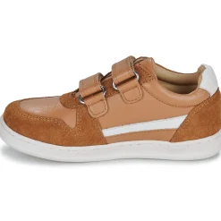 Citrouille et Compagnie - BETEIZ