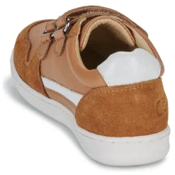 Citrouille et Compagnie - BETEIZ