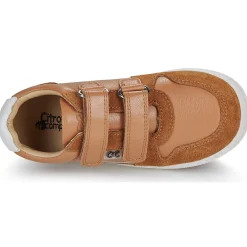 Citrouille et Compagnie - BETEIZ