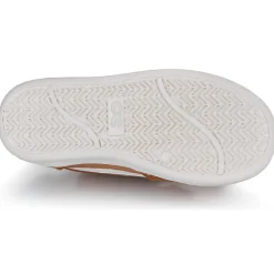 Citrouille et Compagnie - BETEIZ