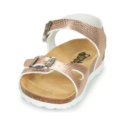 Citrouille et Compagnie - RELUNE