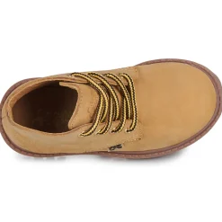 Citrouille et Compagnie - AGORA