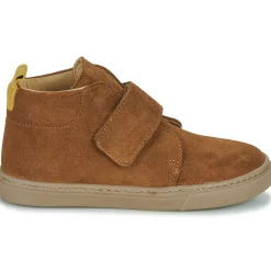 Online Citrouille et Compagnie - FOJAMO Camel