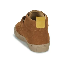 Online Citrouille et Compagnie - FOJAMO Camel